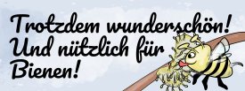 Weiden sind für Bienen sehr nützlich