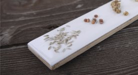 Wie lange Saatgut haltbar ist und wie man eine Keimprobe durchfhrt |  altes-gartenwissen.de