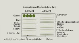 Gemüsebeet in eine Fläche für die erste und eine Fläche für die zweite Tracht aufteilen.