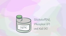dnger inhalt Konzentrat fr eine groe Reichweite: Anzuwenden sowohl im Innen-, als auch  im Auenbereich mit Giekanne oder unserem innovativen Sprhsystem.  Dosierung 1:100.  TerraDomi Onlineshop